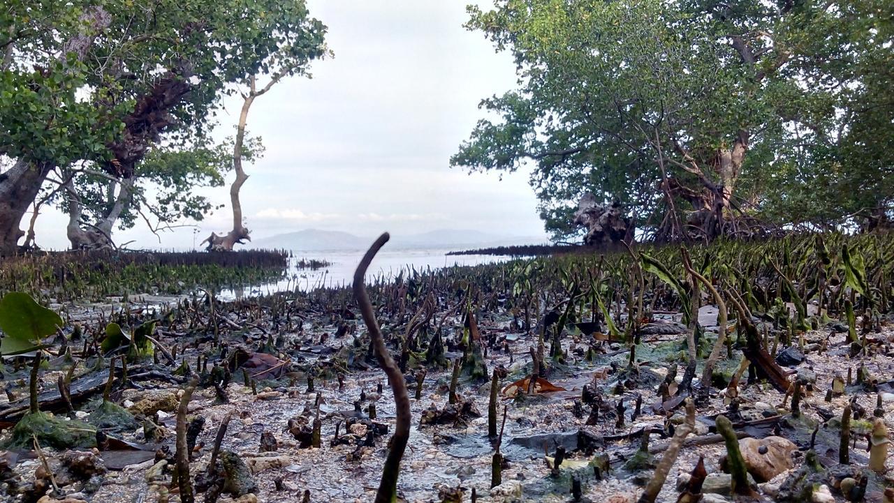 Jonaths Cottage Bunaken Zewnętrze zdjęcie